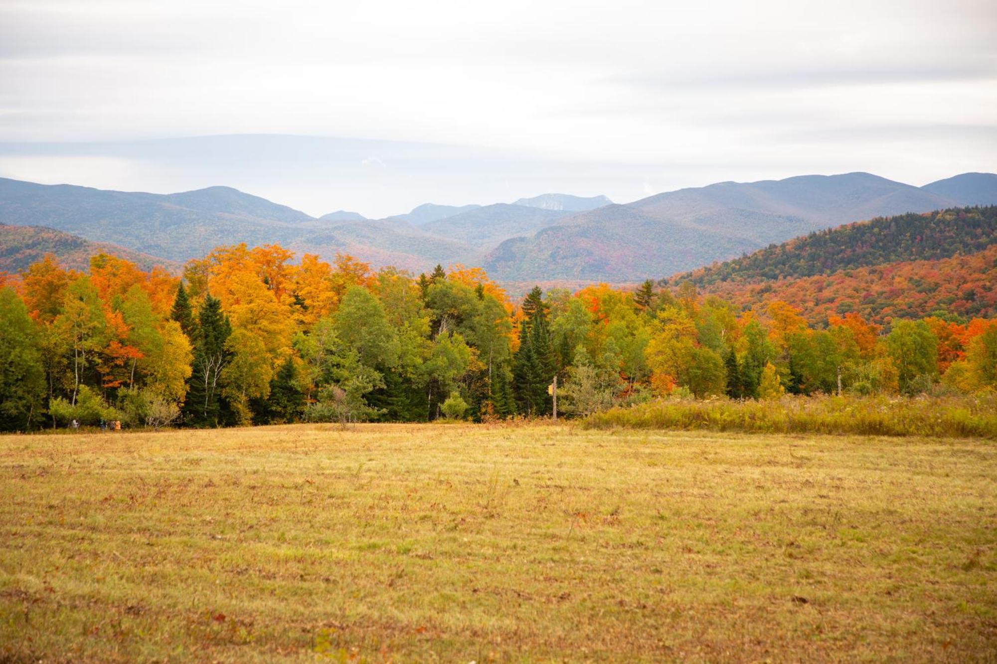 Lake Placid Inn: Residences Dış mekan fotoğraf